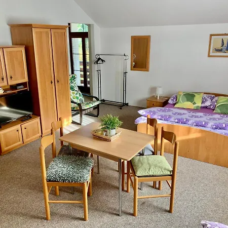 Lenka 1 Guest house Harrachov